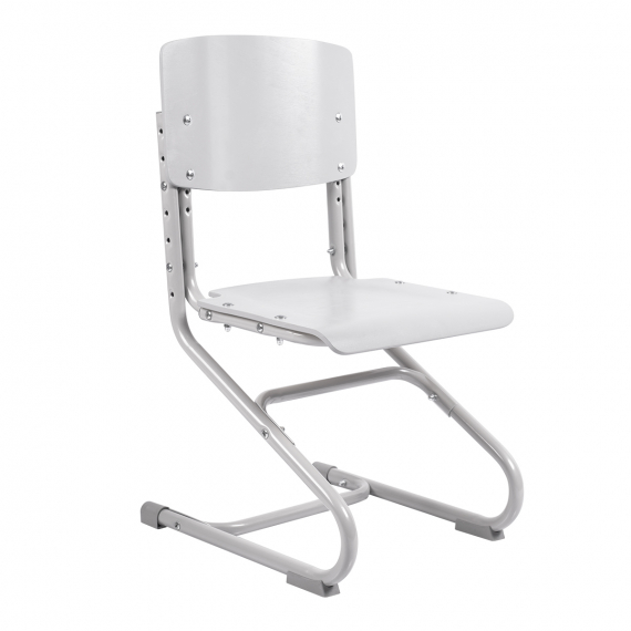 Растущий стул Anatomica Ergo Chair